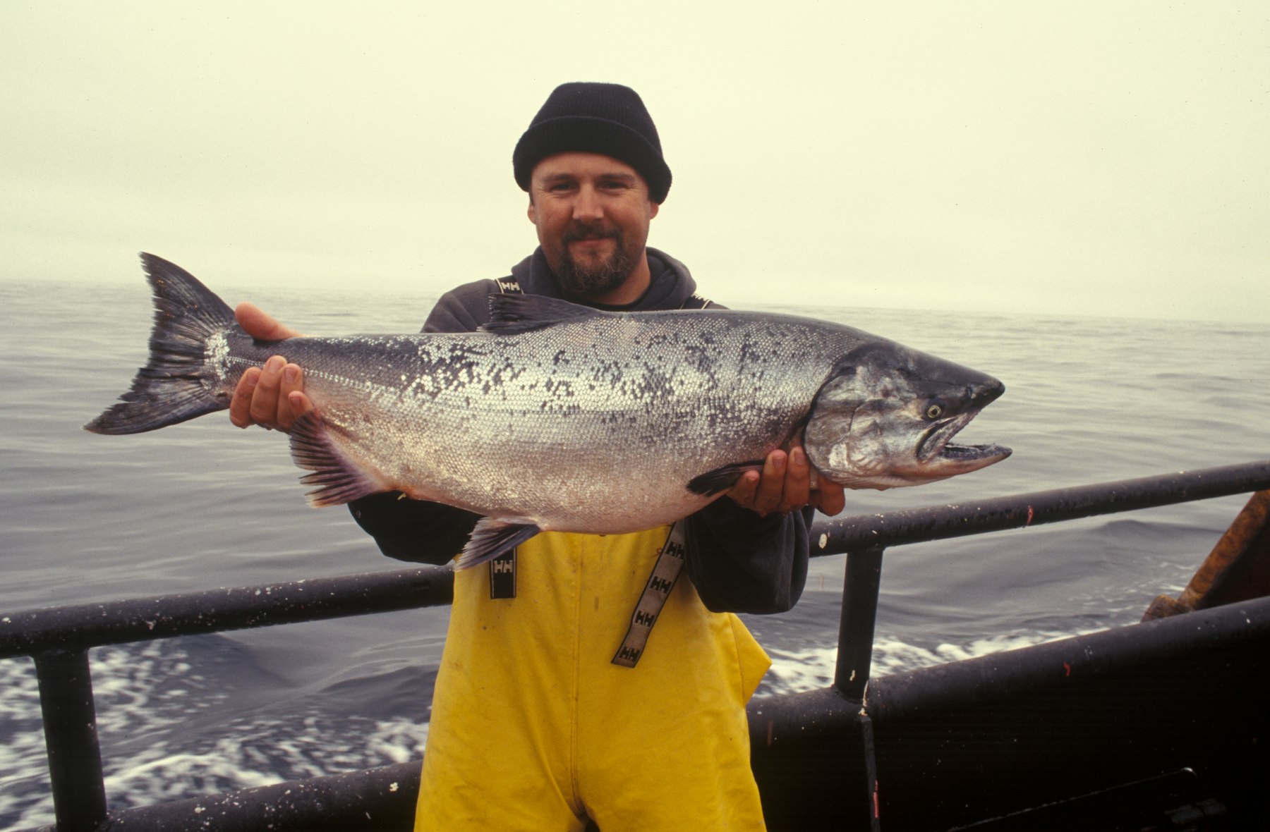 Angler in foul-weather gear holding a large Chinook salmon on a grey day at sea (placeholder photo)